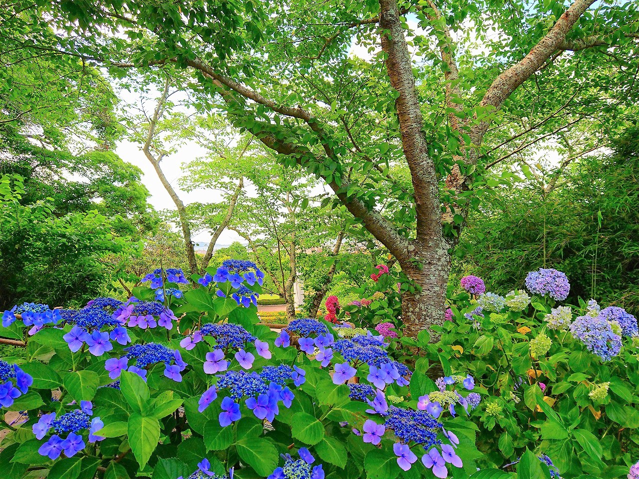 城山公園