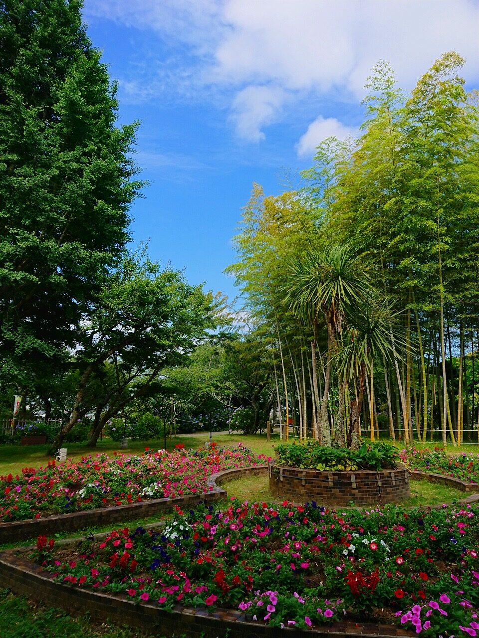 城山公園