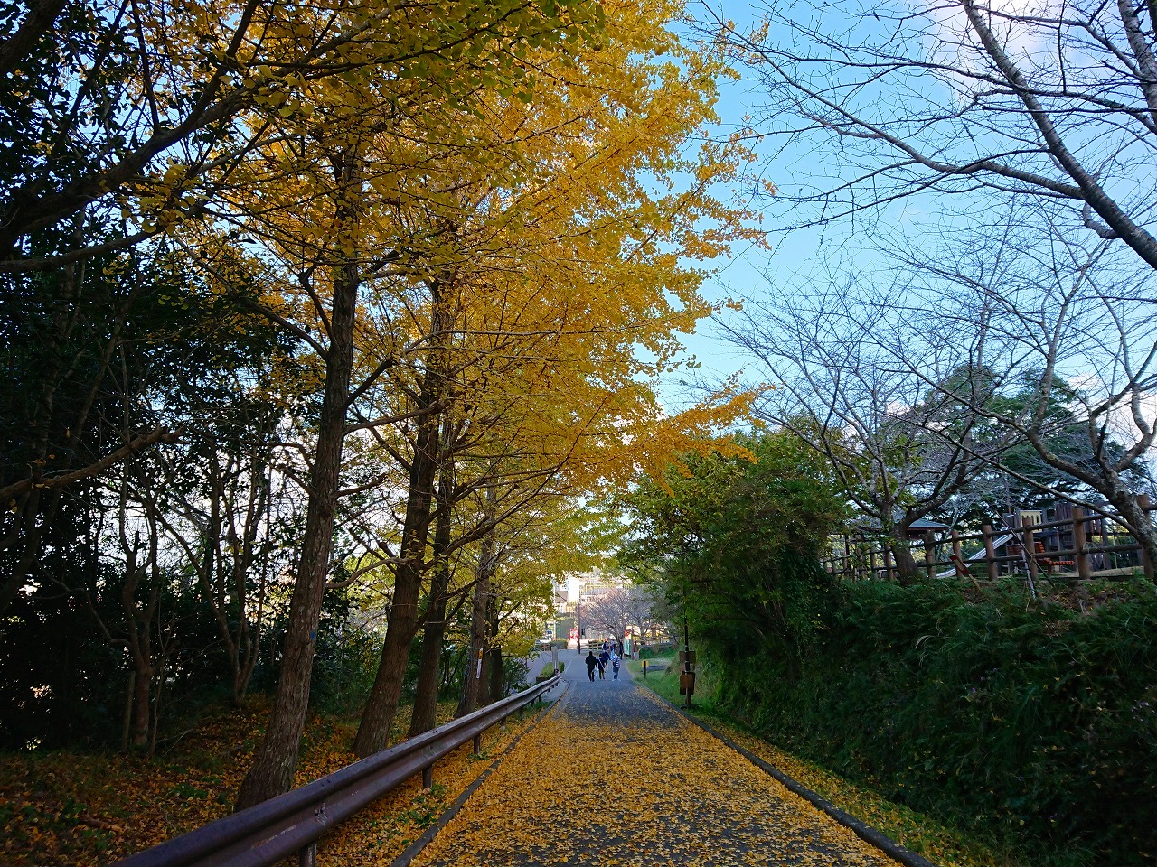 城山公園