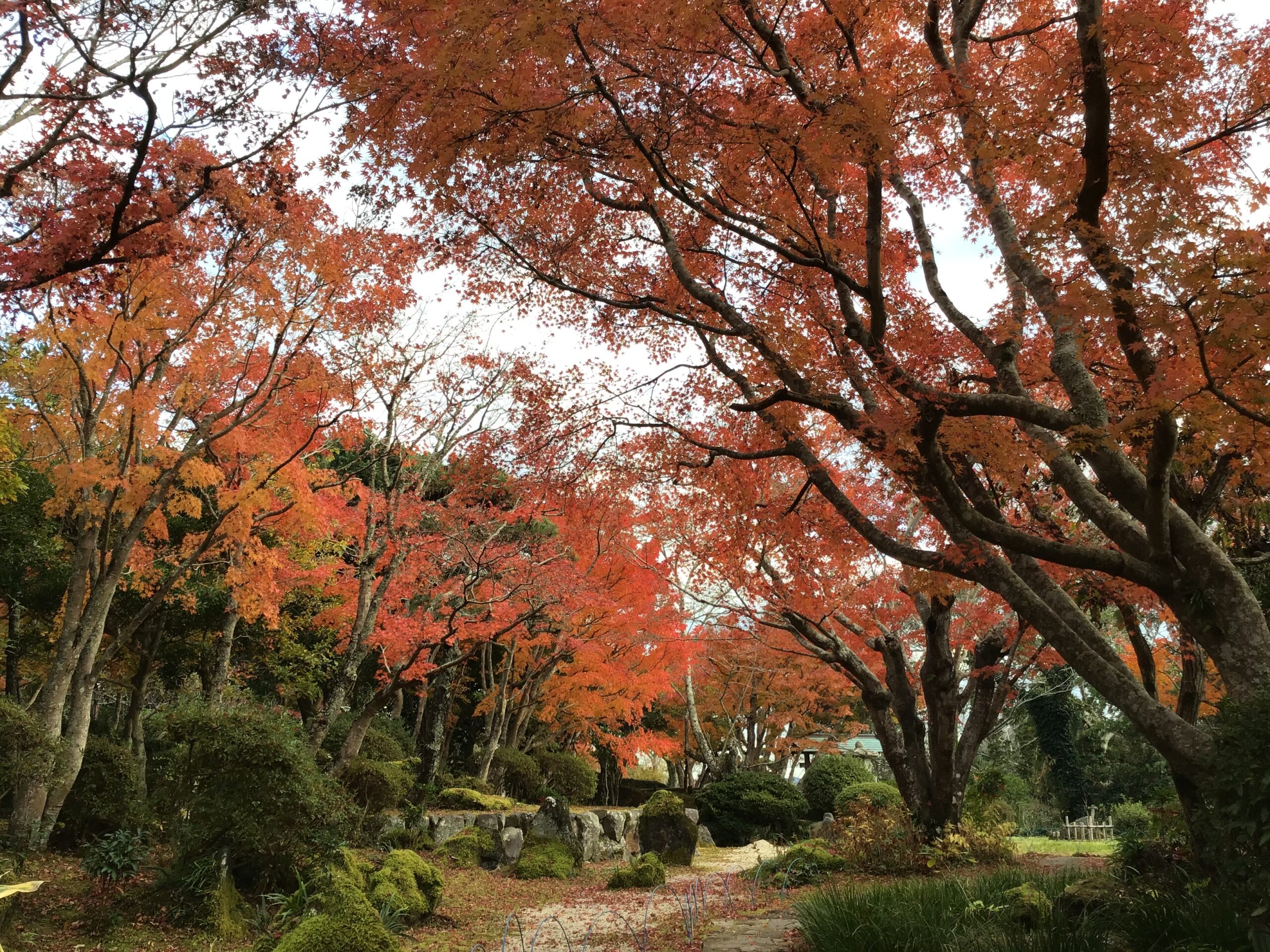 城山公園