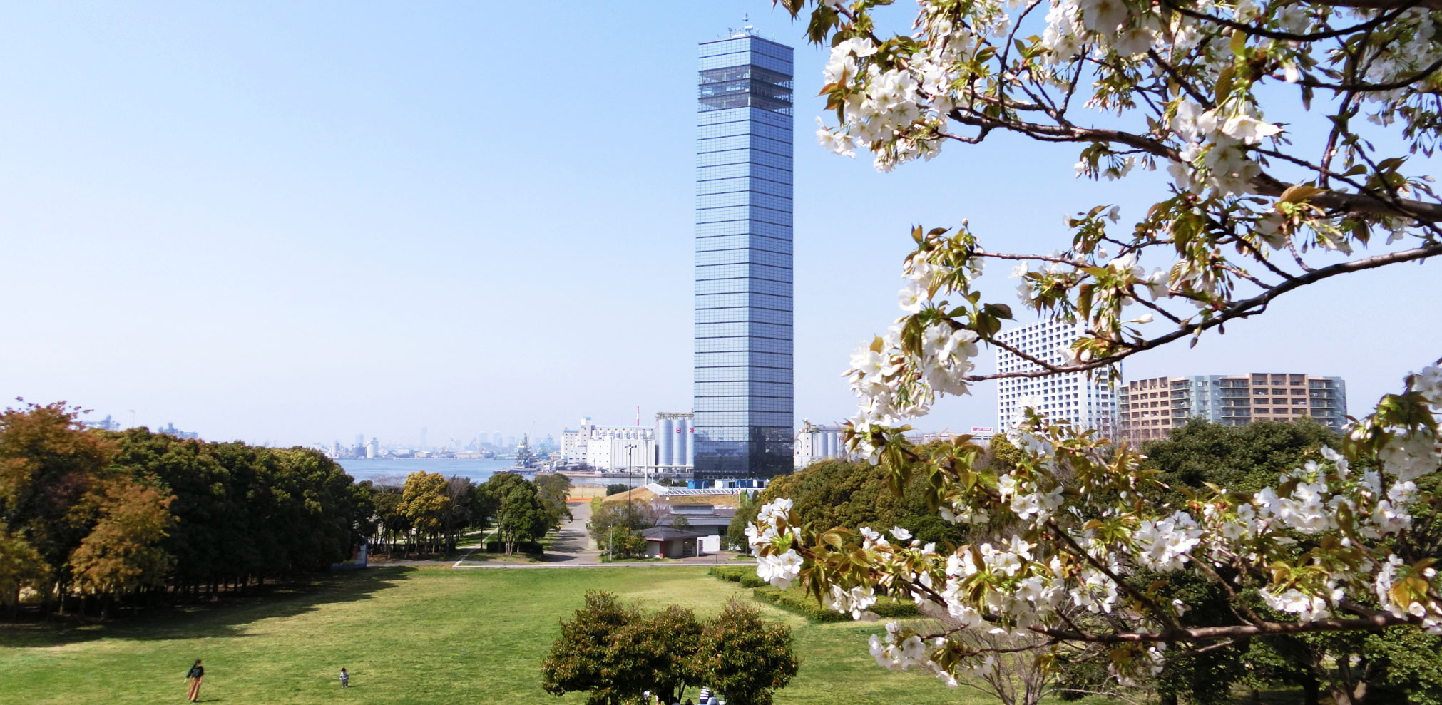 緑地と環境緑化計画 改訂版　景観緑地/フジ・テクノシステム/景観緑地研究会（単行本） 緑地と環境緑化計画 改訂版 景観緑地/フジ・テクノシステム/景観