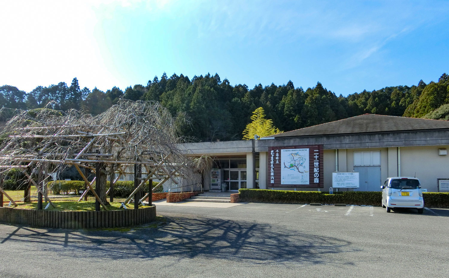 千葉県立大多喜県民の森