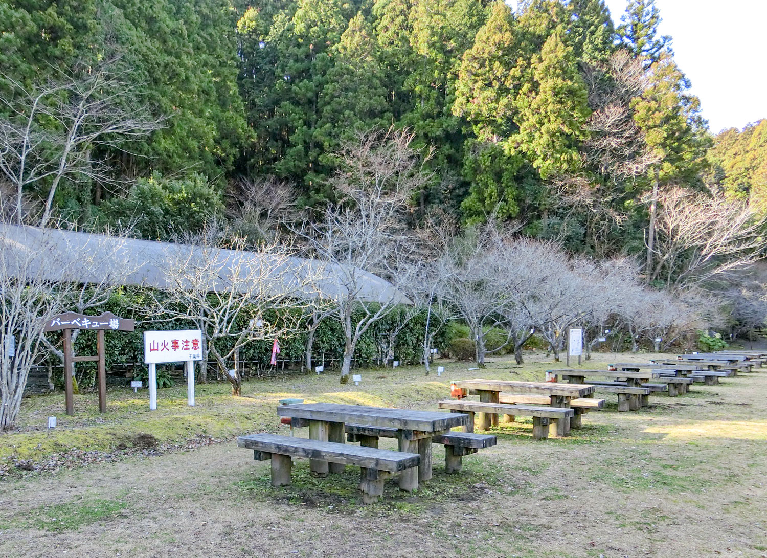 千葉県立大多喜県民の森
