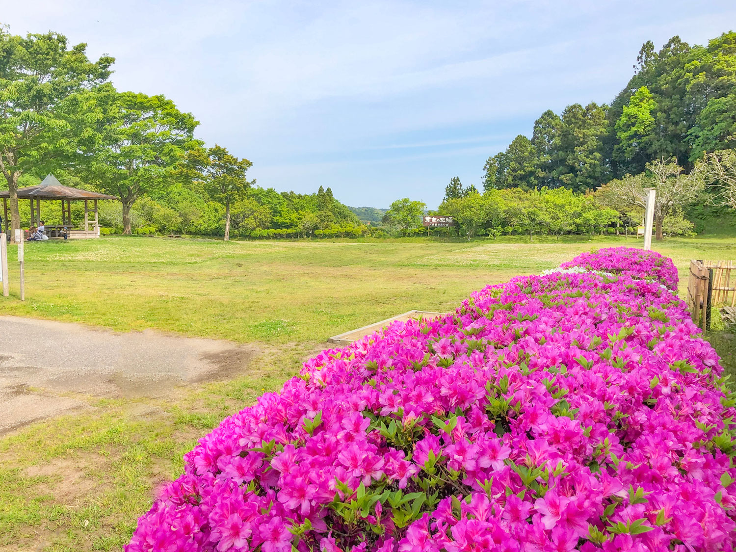 千葉県立大多喜県民の森
