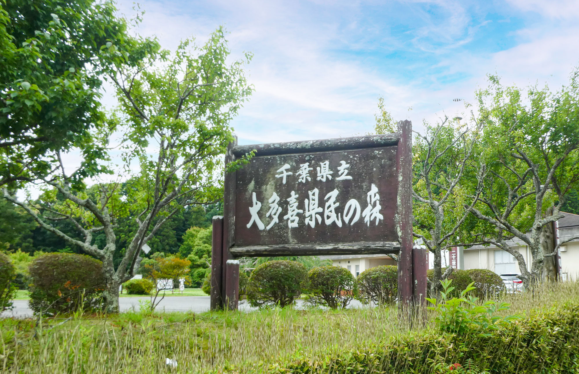 千葉県立大多喜県民の森