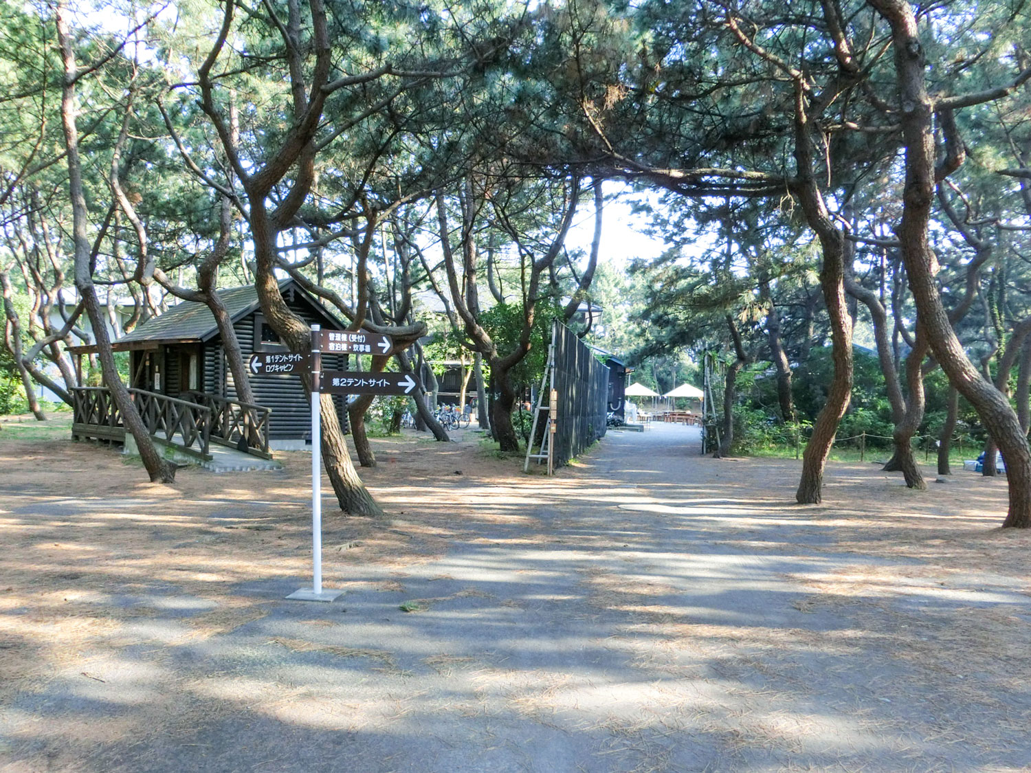 ちがさき柳島キャンプ場