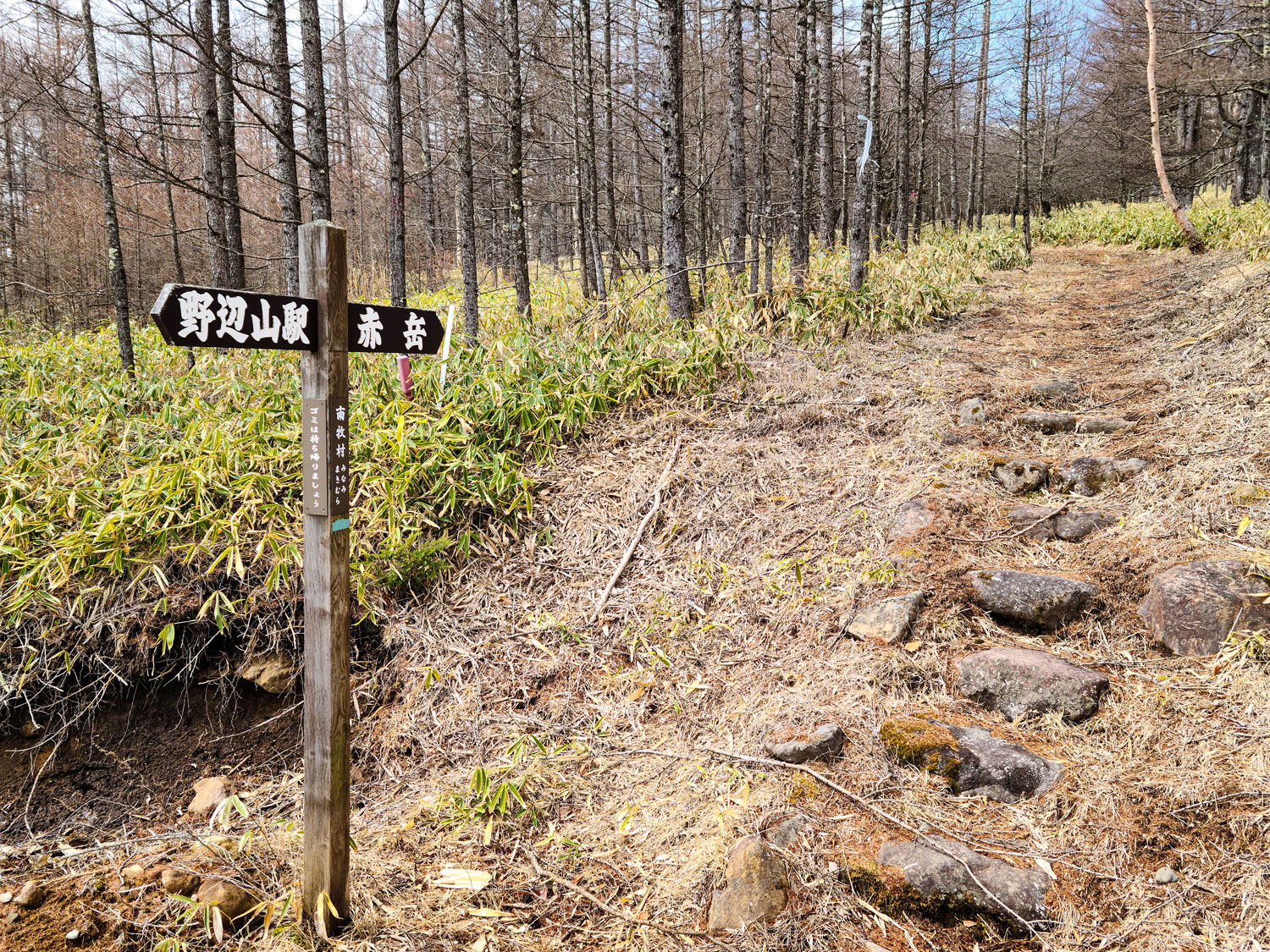 志木市立八ヶ岳自然の家