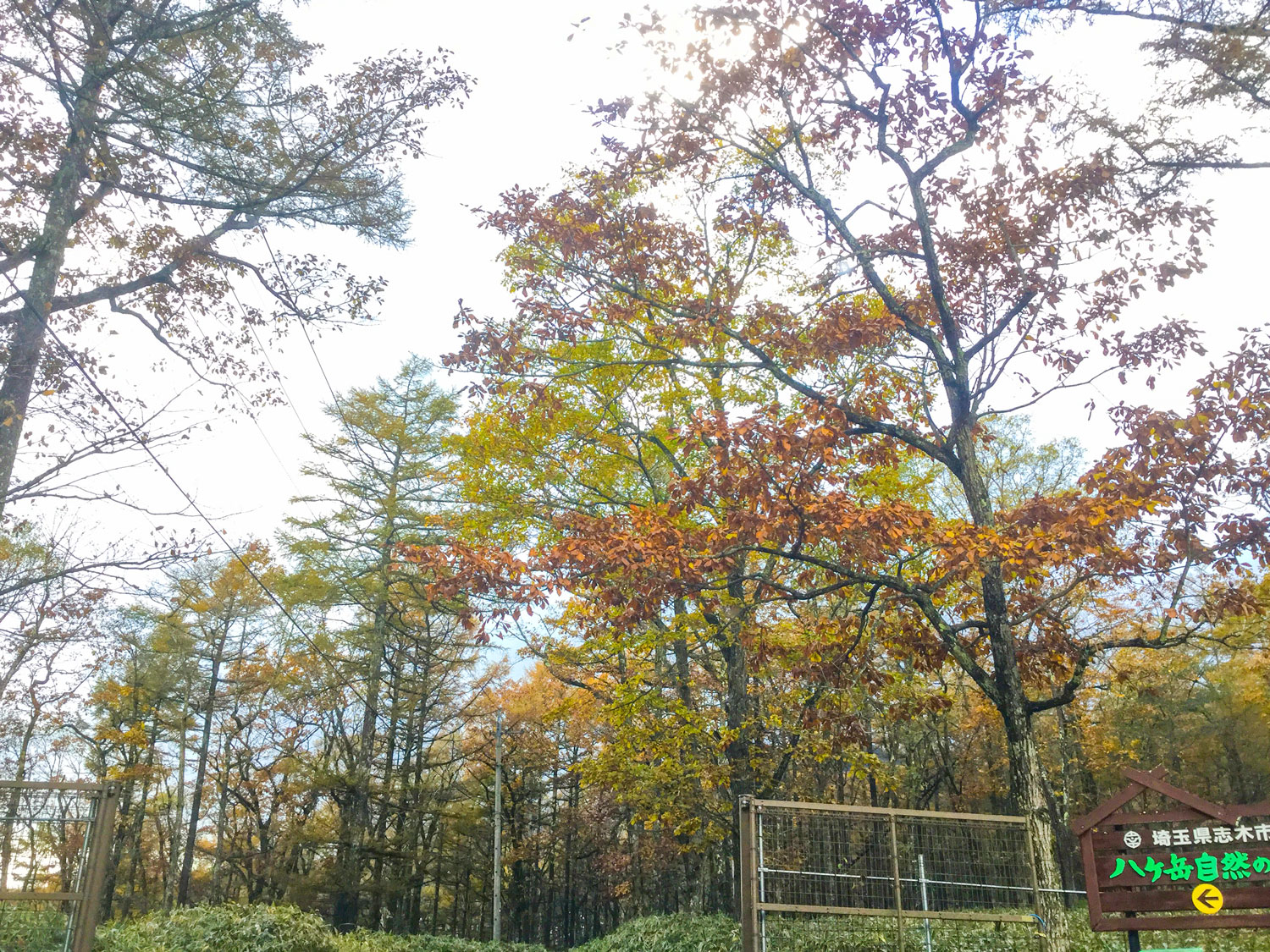 志木市立八ヶ岳自然の家